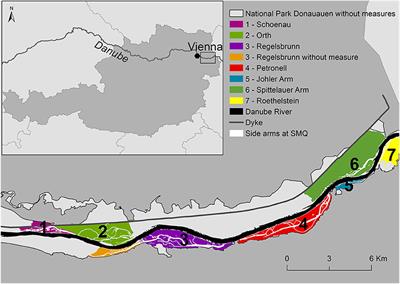 Modeling the Effect of Enhanced Lateral Connectivity on Nutrient Retention Capacity in Large River Floodplains: How Much Connected Floodplain Do We Need?